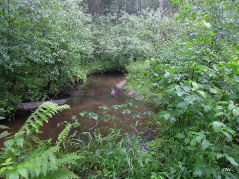 DSCN7850.JPG