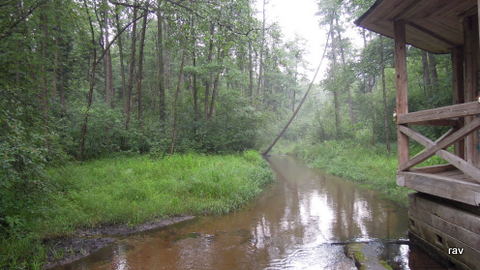 DSCN7854.JPG