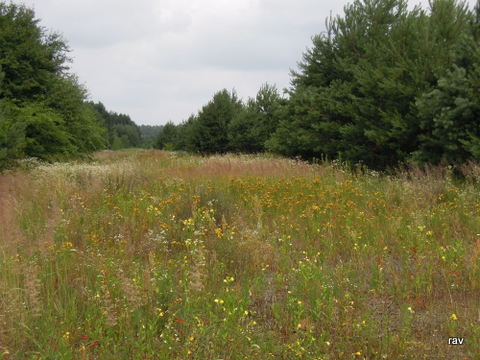DSCN7863.JPG