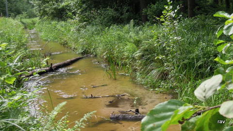 DSCN7878.JPG