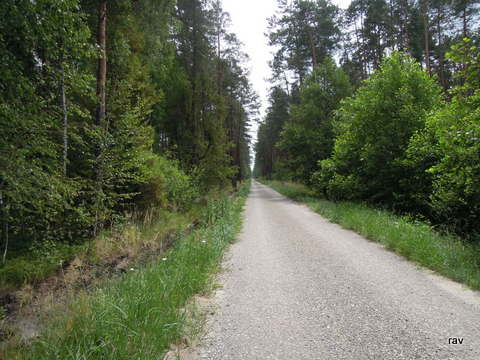 DSCN7879.JPG