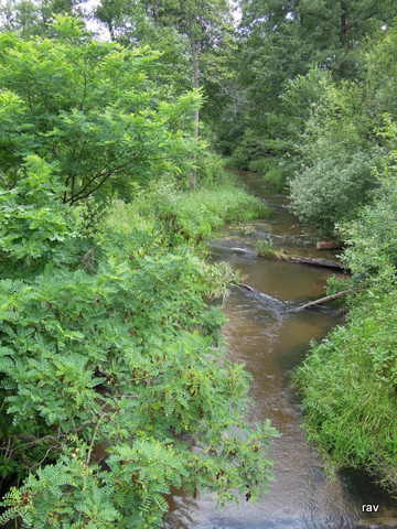 DSCN7880.JPG