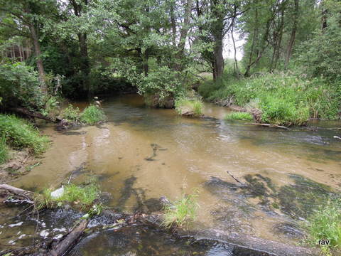 DSCN7886.JPG