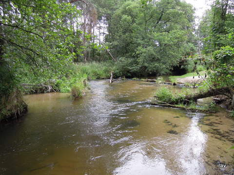DSCN7888.JPG