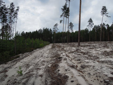 DSCN7895.JPG