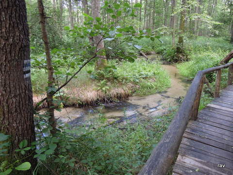 DSCN7898.JPG