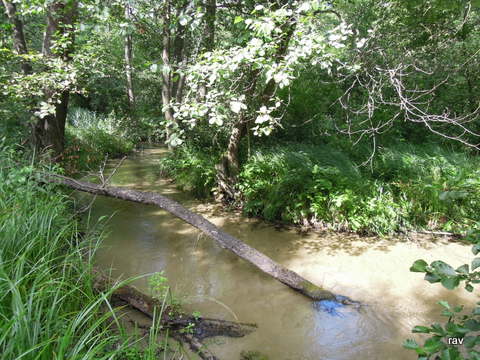 DSCN7903.JPG
