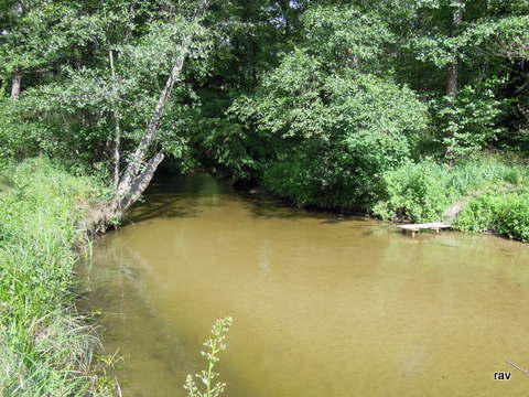 DSCN7905.JPG