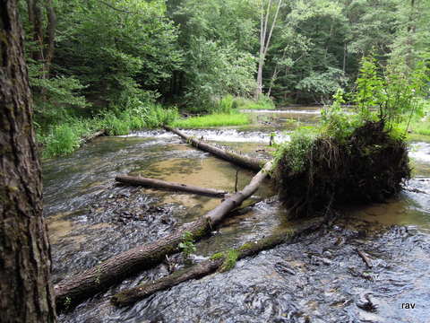 DSCN7922.JPG