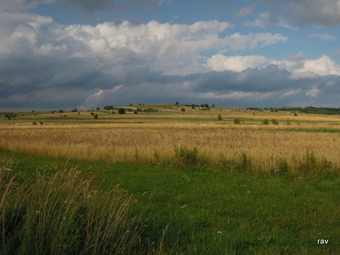 DSCN7928.JPG