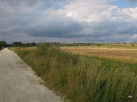 DSCN7929.JPG