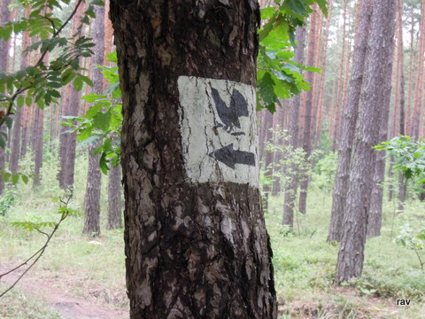 DSCN7958.JPG