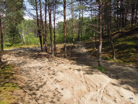 DSCN7970.JPG