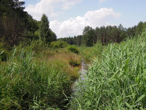 DSCN7971.JPG