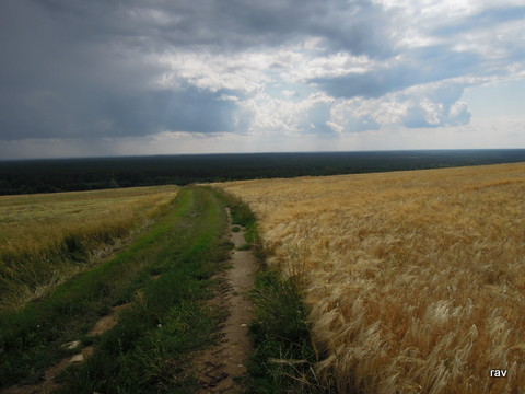 DSCN7973.JPG