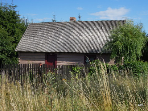 DSCN7989.JPG