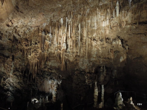 DSCN8077.JPG