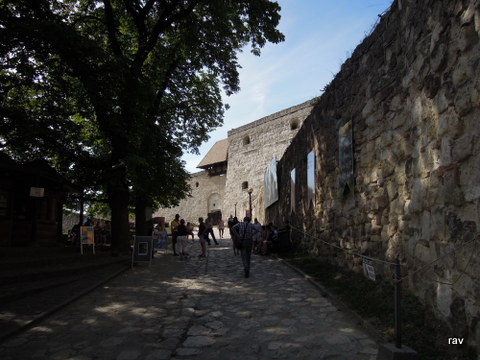 DSCN8149.JPG