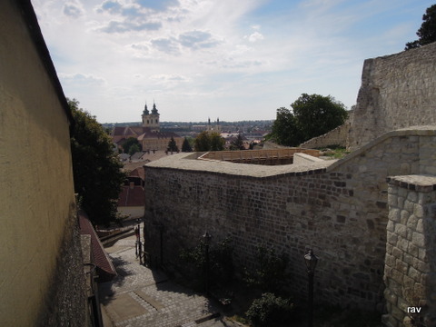 DSCN8152.JPG