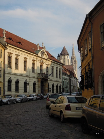 DSCN8219.JPG