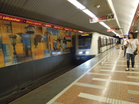 DSCN8319.JPG