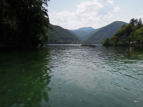 DSCN8514.JPG