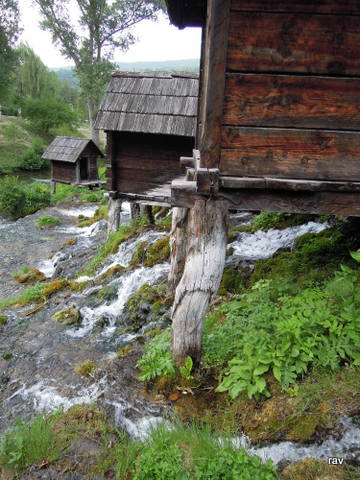 DSCN8519.JPG