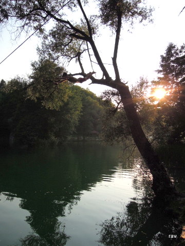 DSCN8525.JPG