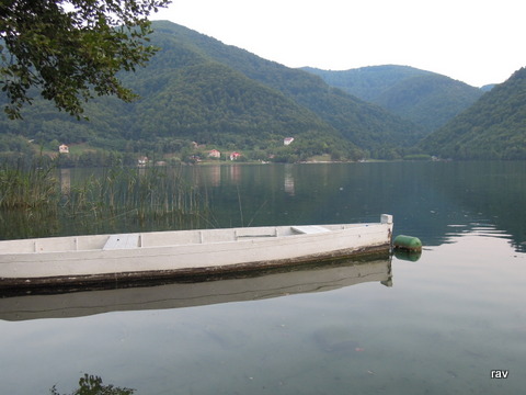 DSCN8556.JPG