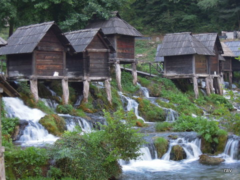 DSCN8564.JPG