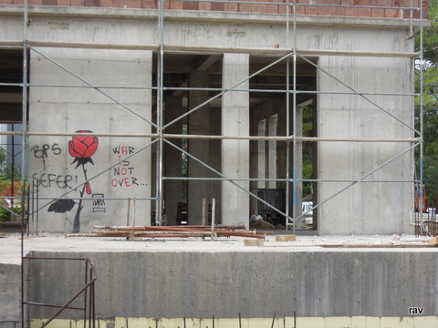DSCN8778.JPG