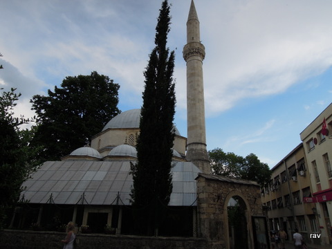 DSCN8813.JPG