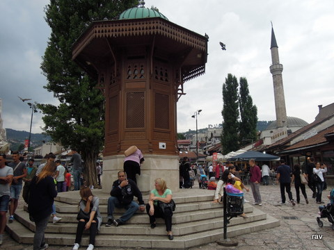 DSCN8840.JPG