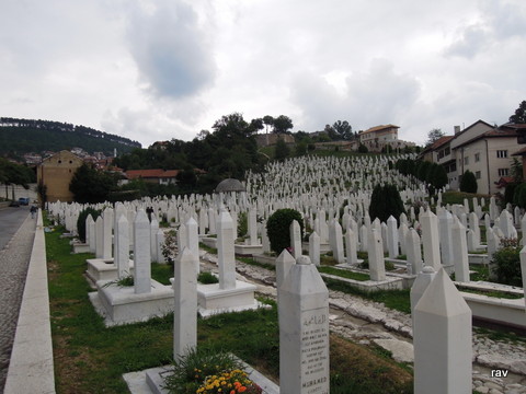 DSCN8851.JPG