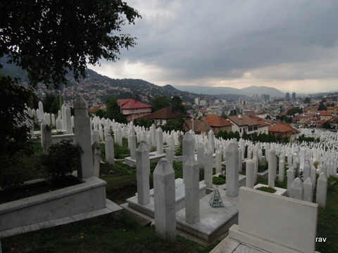 DSCN8869.JPG