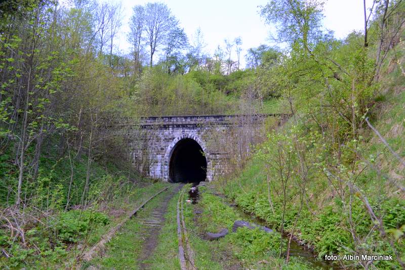 tunel_kolejowy_zoty_pocig__1.JPG