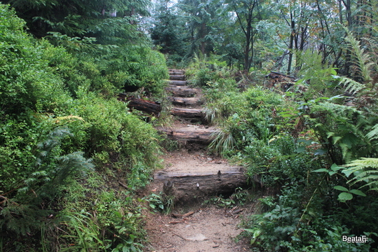 Tatry_1_004-20150907-2.jpg