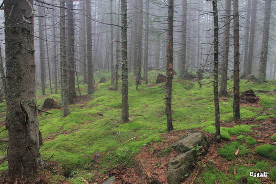 Tatry_1_006-20150907.jpg