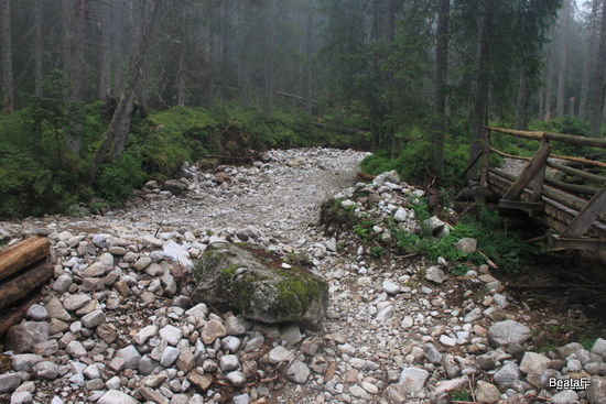 Tatry_1_007-20150907.jpg