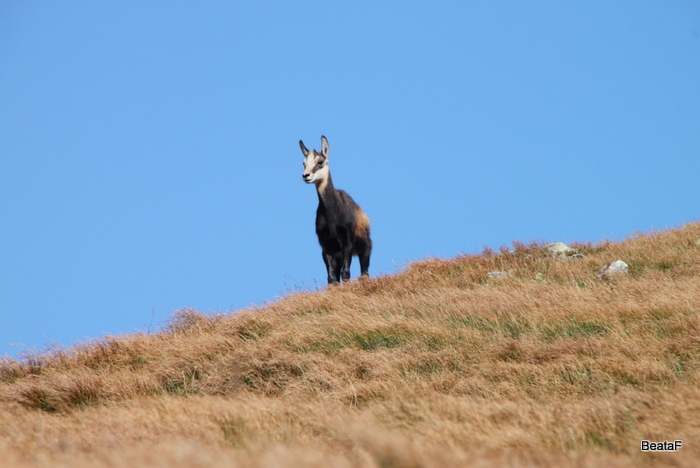 Tatry_1_008.jpg