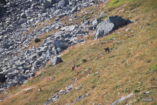 Tatry_1_010-20150907.jpg
