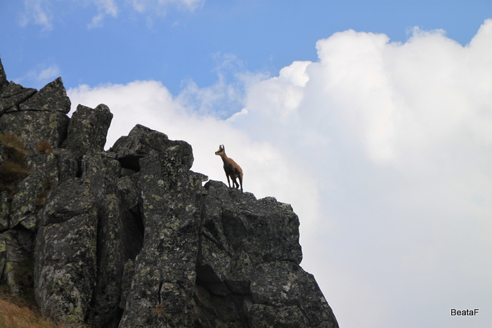 Tatry_1_3_09_2015_127.jpg