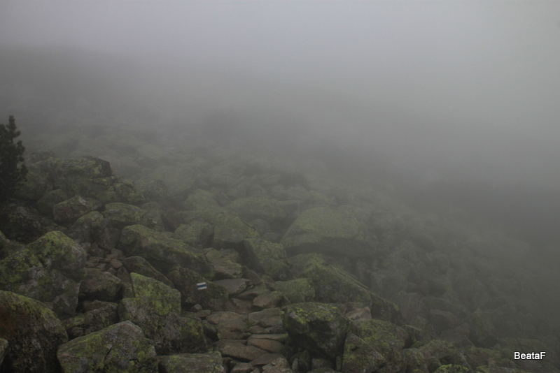 Tatry_1_3_09_2015_182.jpg