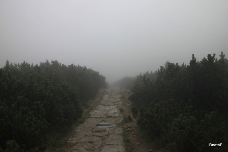 Tatry_1_3_09_2015_183.jpg