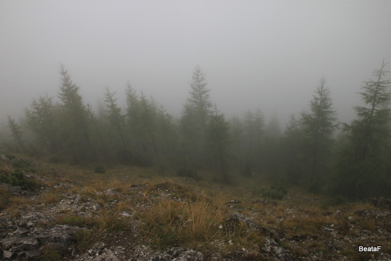 Tatry_1_3_09_2015_218.jpg