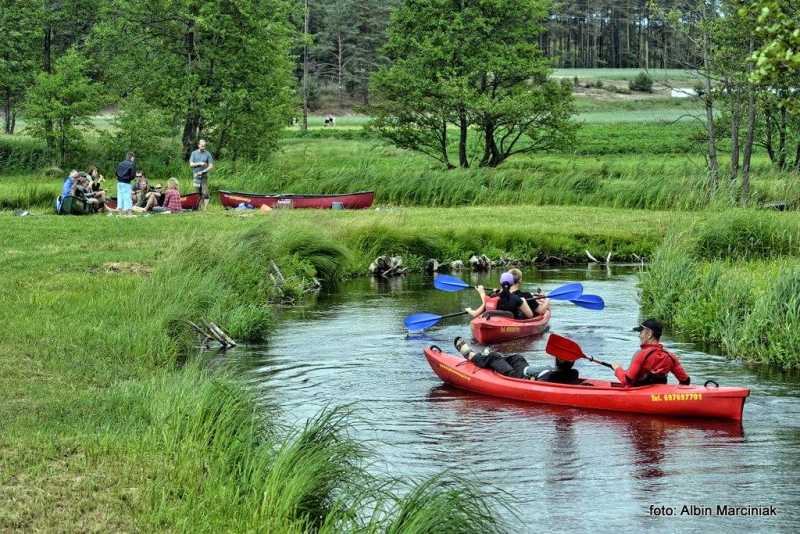 spływkajakowywBorachTucholskich(1).JPG