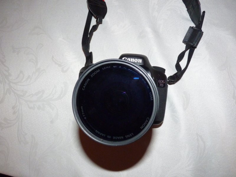 small31.jpg