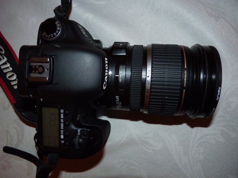 small51.jpg
