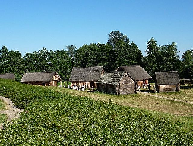 P1000280.JPG