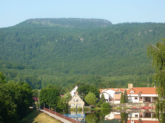 P1100320.JPG